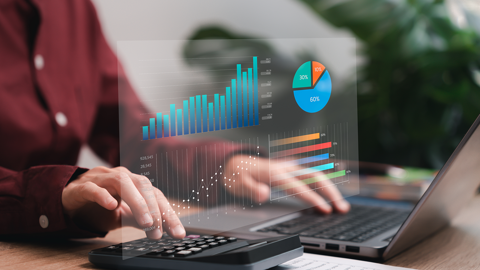 Accounting charts on a computer