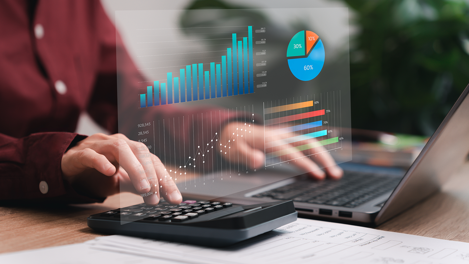 Accounting charts on a computer