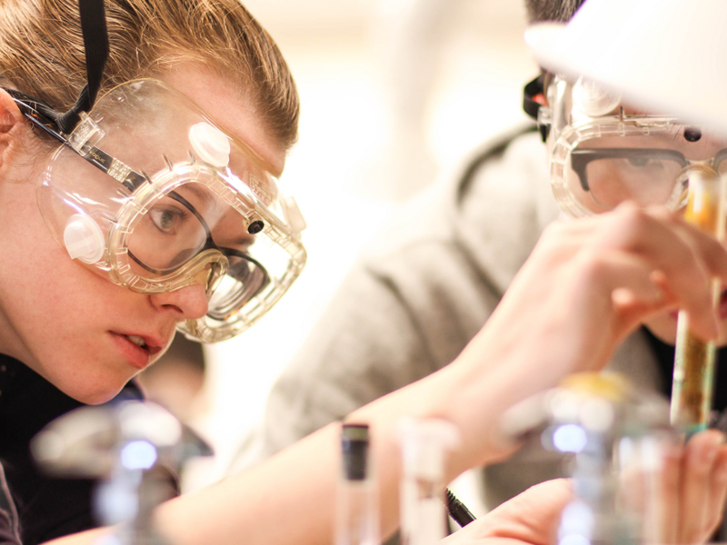 Students in a chemistry class