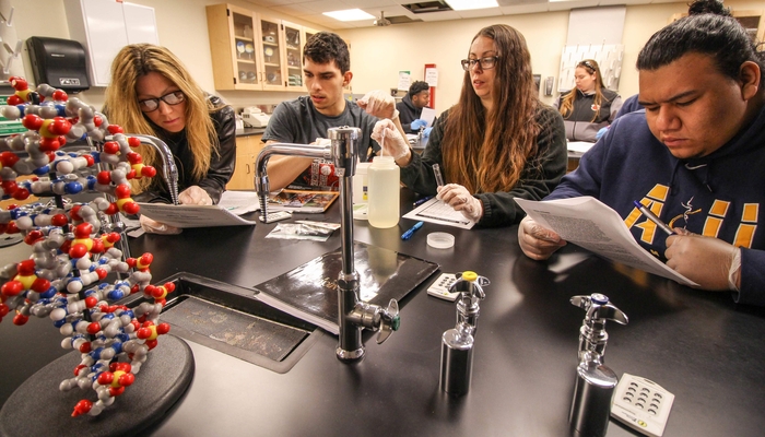 Science students working in the lab