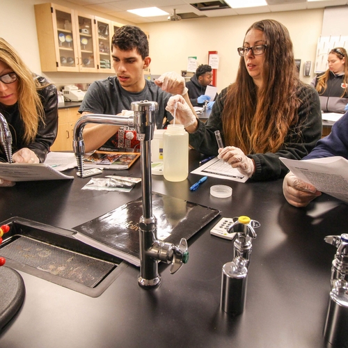 Science students working in the lab