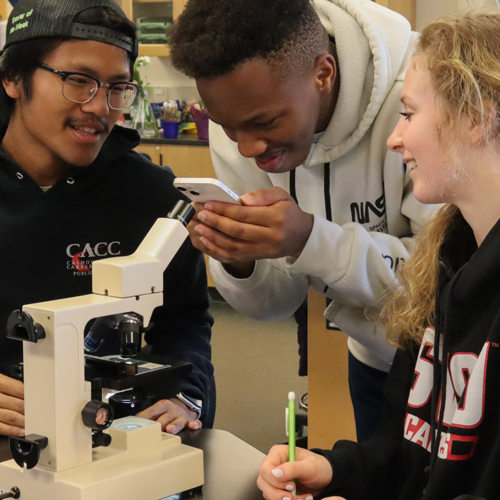 Students in a biology class